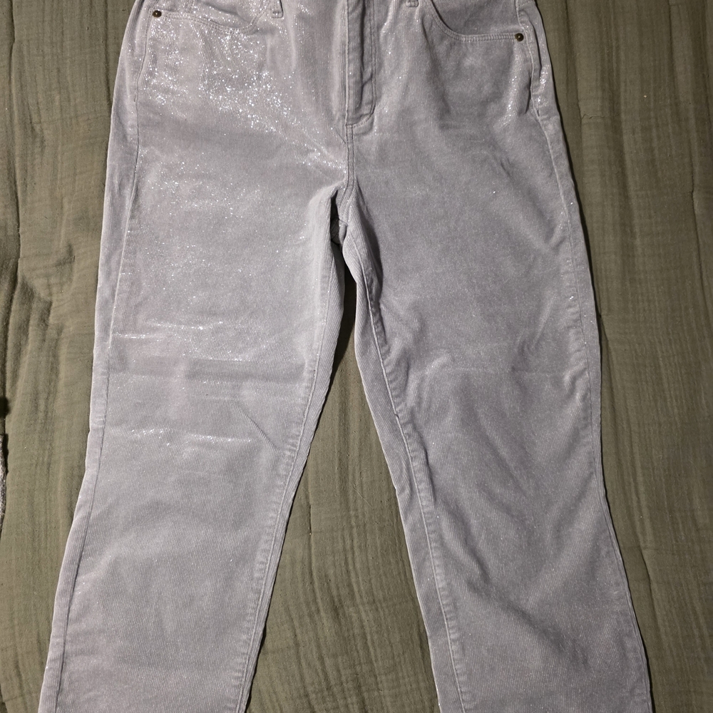 Talbots Sparkling Gray Corduray Jeggings Pants Jeans